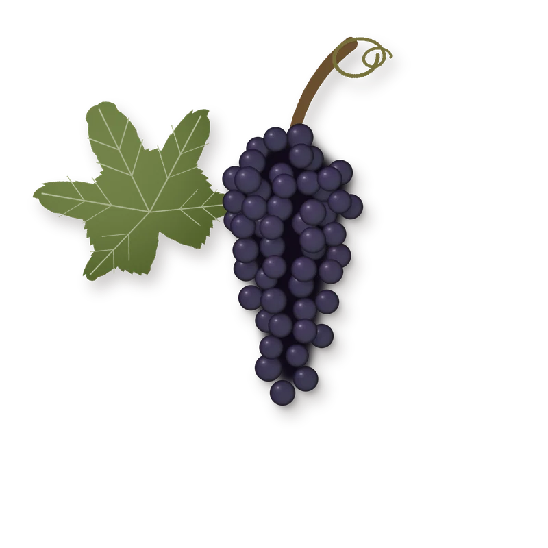 Drawing of a Agiorgitiko bunch