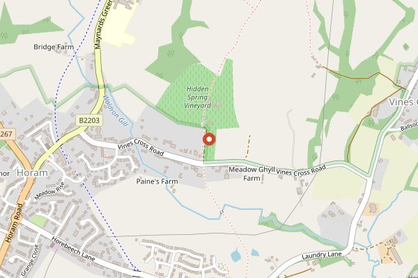 Map showing Hidden Spring Vineyard in Sussex
