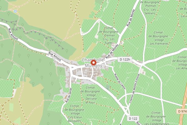 Map showing Domaine Comte Georges de Vogue in Burgundy
