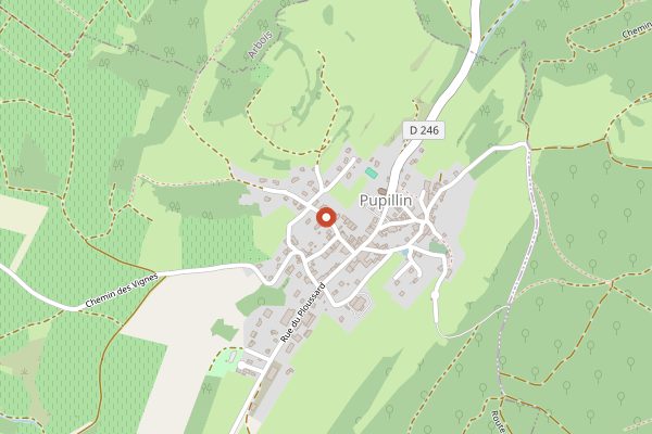 Map showing Cellier Saint Benoit in Jura