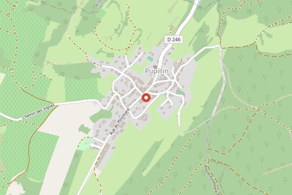 Map showing Fruitiere Vinicole de Pupillin in Jura