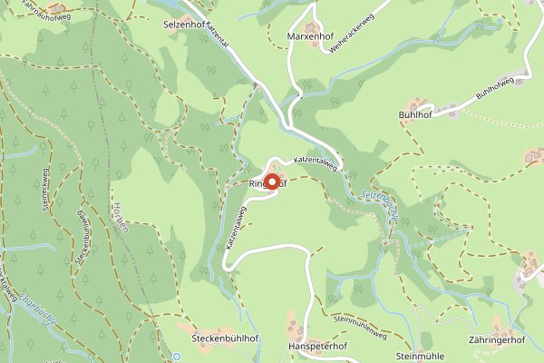 Map showing Ringlihof in Baden