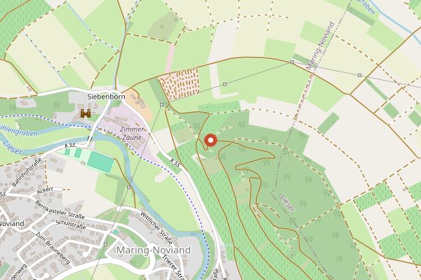 Map showing Weingut Markus Molitor in Mosel