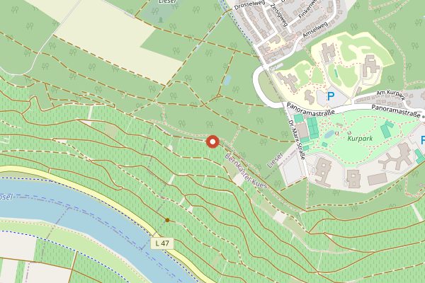 Map showing Weingut Schloss Lieser in Mosel