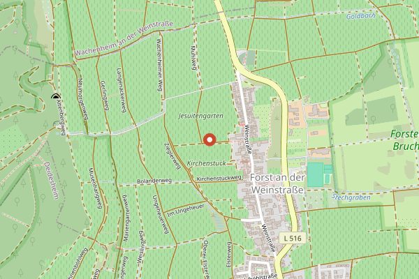 Map showing Weingut Georg Mosbacher in Pfalz