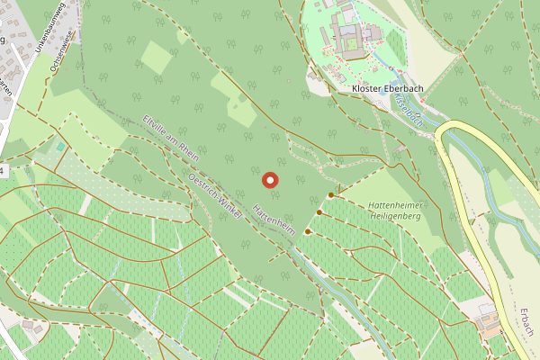Map showing Weingut Karl-Johann Molitor in Rheingau