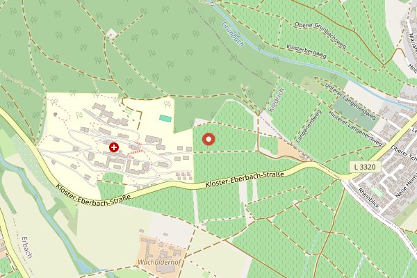 Map showing Kloster Eberbach Vineyard Walk and Tasting in Rheingau