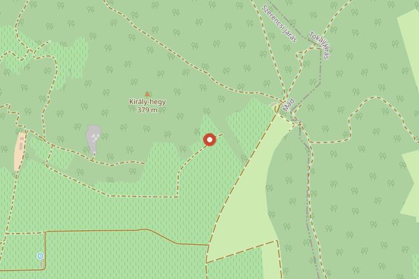 Map showing Tokaj Kereskedőház (Tokaj Trade House) in Tokaj