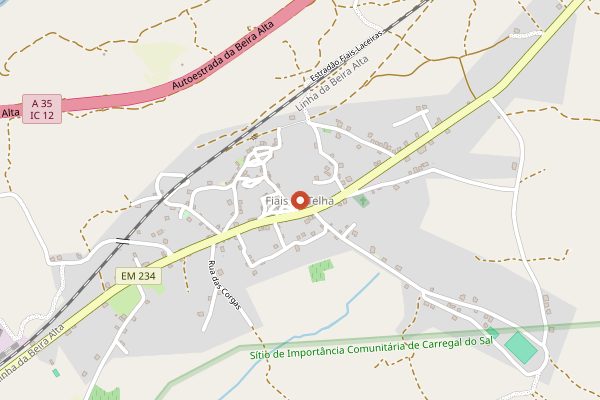 Map showing Quinta Dom Vicente in Dão