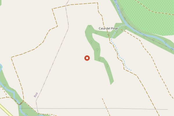 Map showing Bodegas Ribera del Pelayo in Ribera del Duero