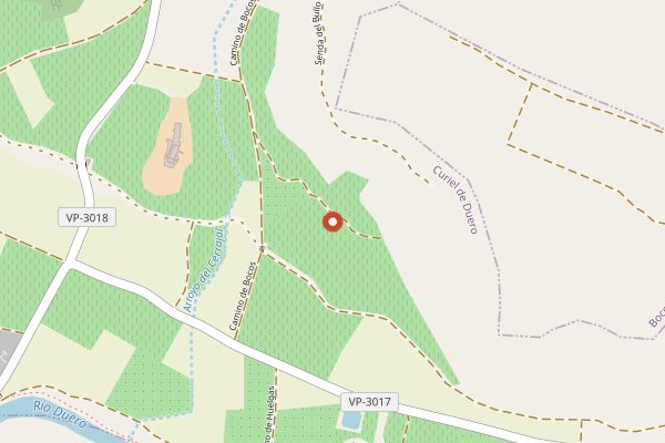 Map showing Bodegas Comenge Casa Rural in Ribera del Duero
